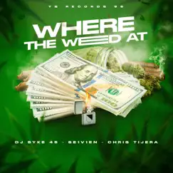 Where the Weed At - Single by Dj Syke45, Chris Tijera & Se1v1en album reviews, ratings, credits