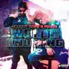 Worth Knowing (feat. Shaudy Kash) - Single album lyrics, reviews, download