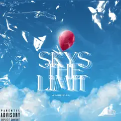 Skys the Limit - Single by Amirical album reviews, ratings, credits
