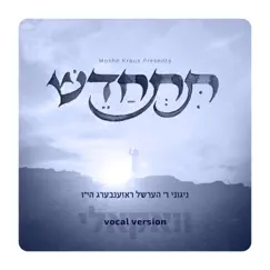 Mi Huish - מי האיש (feat. Hershy Weinberger) Song Lyrics