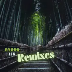 Zen (Druggy Remix) Song Lyrics