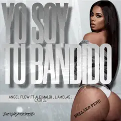 Yo Soy Tu Bandido (feat. AldiMaldi, liamblas & Castle) Song Lyrics