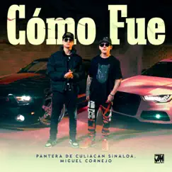 Cómo Fue - Single by Pantera De Culiacán Sinaloa & Miguel Cornejo album reviews, ratings, credits