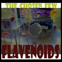 The Chosen Few (feat. Claire) by Flavenoids album reviews, ratings, credits