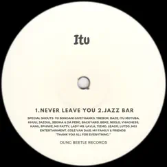 Never Leave You - Single by Itu album reviews, ratings, credits