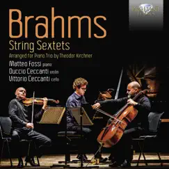 Brahms: String Sextets, Arranged for Piano Trio by Theodor Kirchner by Matteo Fossi, Vittorio Ceccanti & Duccio Ceccanti album reviews, ratings, credits