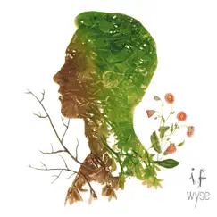 If - Single by Wyse album reviews, ratings, credits