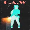 C.A.W - Single album lyrics, reviews, download