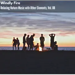 Windly Fire - Relaxing Nature Music with Other Elements, Vol. 08 by Various Artists album reviews, ratings, credits