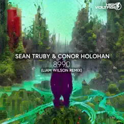 8990 (Liam Wilson Remix) - Single by Sean Truby & Conor Holohan album reviews, ratings, credits