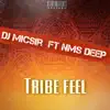 Tribe Feel (feat. NMS Deep) [Akuluwo Version] [Akuluwo Version] - Single album lyrics, reviews, download