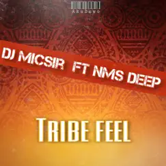 Tribe Feel (feat. NMS Deep) [Akuluwo Version] [Akuluwo Version] - Single by DJ Micsir album reviews, ratings, credits