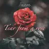 Tear From a Rose - Single album lyrics, reviews, download
