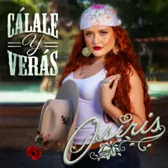 Cálale y Verás - Single by Osiris album reviews, ratings, credits
