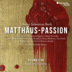 Matthäus-Passion, BWV 244, Seconda parte: Nr.47. Der Landpfleger sagte (Evangelista, Pilatus) Song Lyrics
