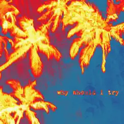 Why Should I Try - Single by Thrml album reviews, ratings, credits