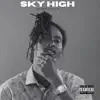 Sky High - Single album lyrics, reviews, download