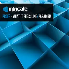 What It Feels Like / Paradigm - Single by PROFF album reviews, ratings, credits