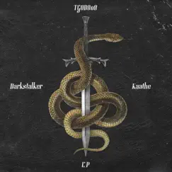 Darkstalker Kaathe - EP by TGOD808 album reviews, ratings, credits