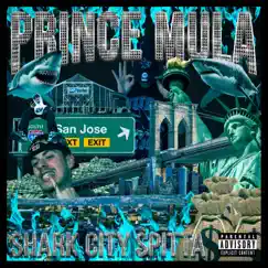 Shark City Spitta: A Side by Prince Mula album reviews, ratings, credits