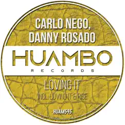 Loving It - Single by Carlo Nego & Danny Rosado album reviews, ratings, credits