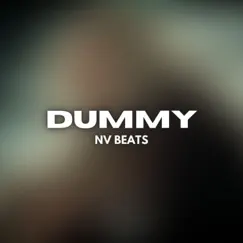 Dummy - Single by NV Beats album reviews, ratings, credits