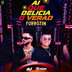 Forrózin Ai Que Delicia o Verão (feat. Marina Sena) - Single by Djmelk & Forró Vai Q Vai album reviews, ratings, credits
