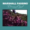 Promised Land - Single album lyrics, reviews, download