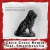 Lion In the Jungle (Chris Cross Rmx) [feat. Chris Cross & Smoothsaylin] - Single album lyrics, reviews, download