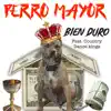 Bien Duro (feat. The Country Dance Kings) - Single album lyrics, reviews, download