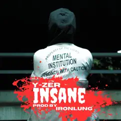 Insane - Single by Yzer & Ironlung album reviews, ratings, credits