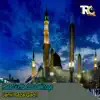 Hara Gumbad Jo Dekhoge - Single album lyrics, reviews, download