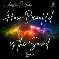 How Beautiful Is the Sound by The Master's Musician album reviews, ratings, credits