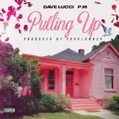 Pulling Up (feat. PMRnB) Song Lyrics