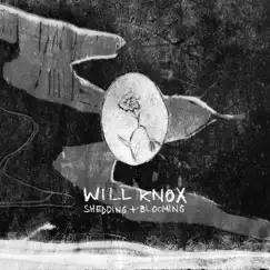 Shedding + Blooming by Will Knox album reviews, ratings, credits
