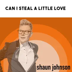 Can I Steal a Little Love (With the Prague Orchestra) (Feat. The Prague Orchestra) - Single by Shaun Johnson Big Band Experience album reviews, ratings, credits