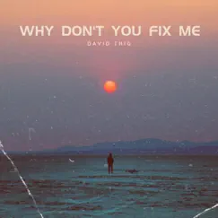 Why Don't You Fix Me - Single by David Trig album reviews, ratings, credits