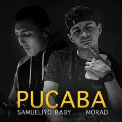 Pucaba - Single by Morad & Samueliyo Baby album reviews, ratings, credits