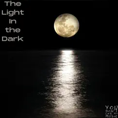 The Light in the Dark - Single by You Don't Like My Music album reviews, ratings, credits