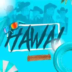 Hawai - Single by Manuel Carbajal Y Los VGZ De La Tuba album reviews, ratings, credits