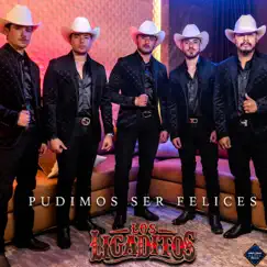 Pudimos Ser Felices - Single by Los Ligaditos album reviews, ratings, credits