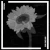 Sunflower Boy - Single album lyrics, reviews, download