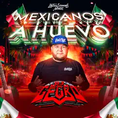 Mexicanos a Huevo - Single by Dj Gecko album reviews, ratings, credits