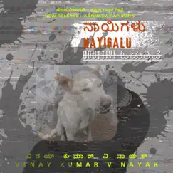 Nayigalu Oduttive - Single by Vinay Kumar V Nayak album reviews, ratings, credits