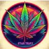 StarTripz (feat. Phunkee Phoot) - Single album lyrics, reviews, download