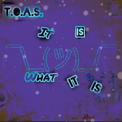 T.O.A.S. It Is What It Is - EP by Ruff_samurai_ album reviews, ratings, credits