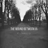 The Wound Between Us - Single album lyrics, reviews, download