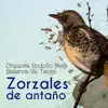 Zorzales de Antaño - Orquesta Rodolfo Biagi - Bailarina De Tango album lyrics, reviews, download