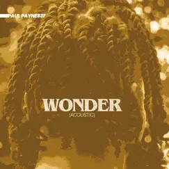 Wonder (Acoustic) - Single by Paul Payne837 album reviews, ratings, credits