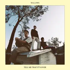 Tell Me That It’s Over by Wallows album reviews, ratings, credits